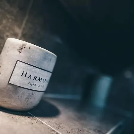 Luxury Apartament Near The Sea * Varna